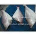 Frozen Skinned Fish Leather